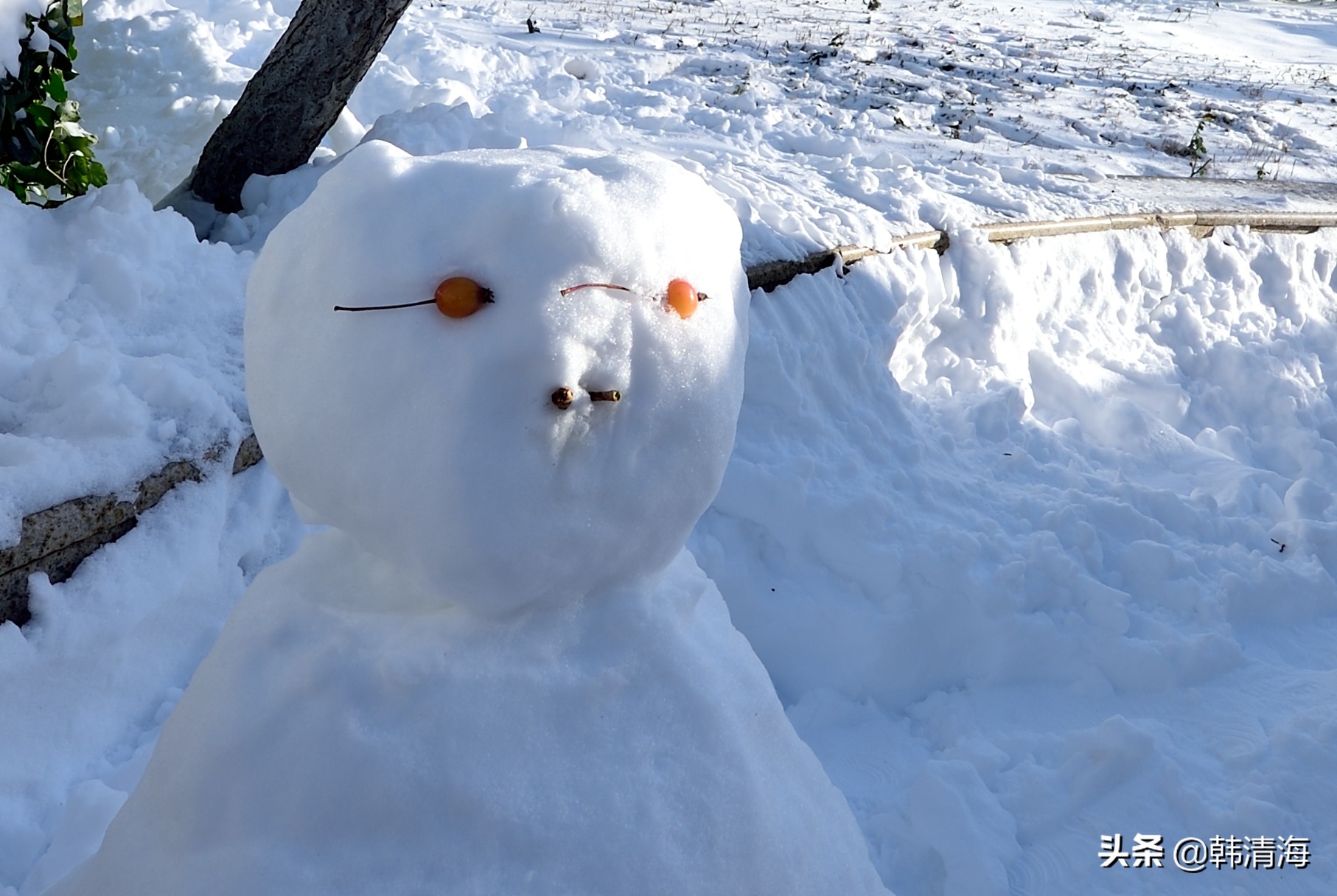 天津2022年雪景,天津第一场雪的美景