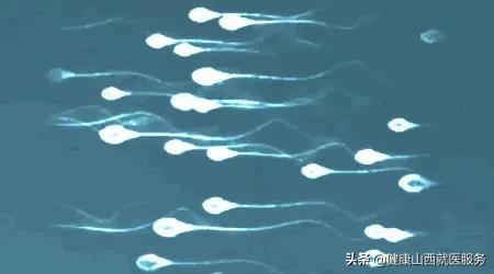 「小秘密」为什么男生的蛋蛋不能踢？