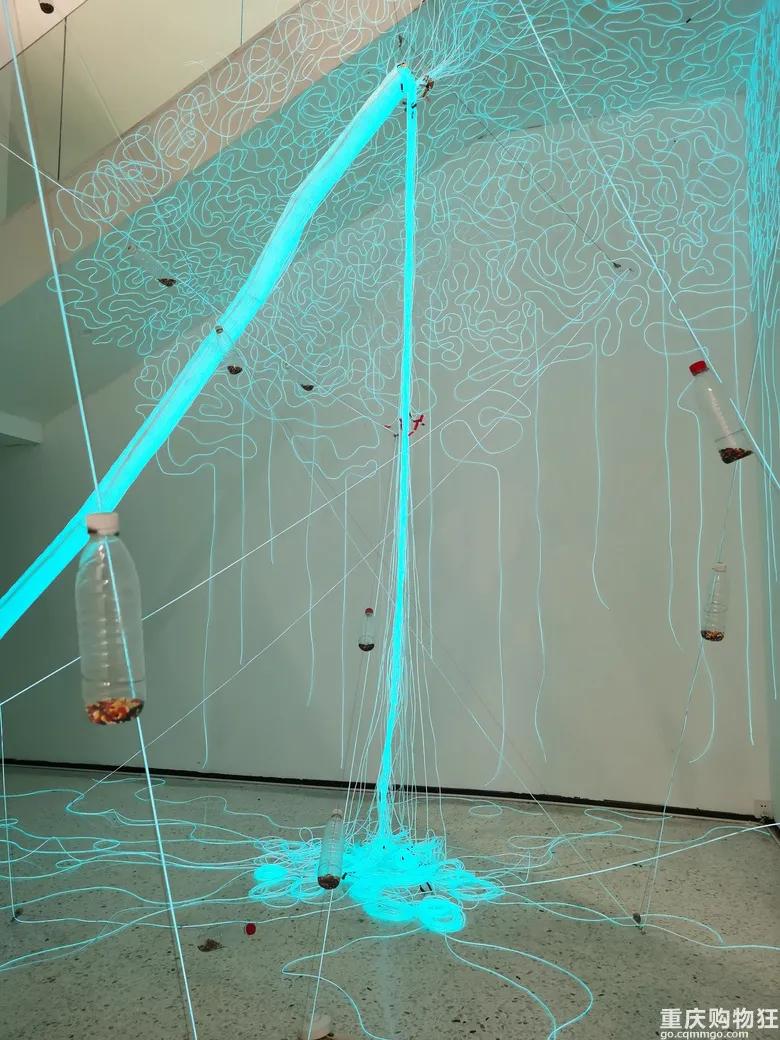 巴南鱼洞户外好耍的地方,巴南鱼洞周边一日游的绝佳去处