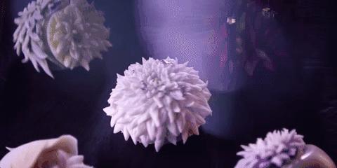 他说自己不是日本匠人，而是和果子艺术家，他做的和果子不忍吃掉