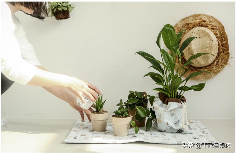 棉麻碎花衬衫,碎花棉麻女装