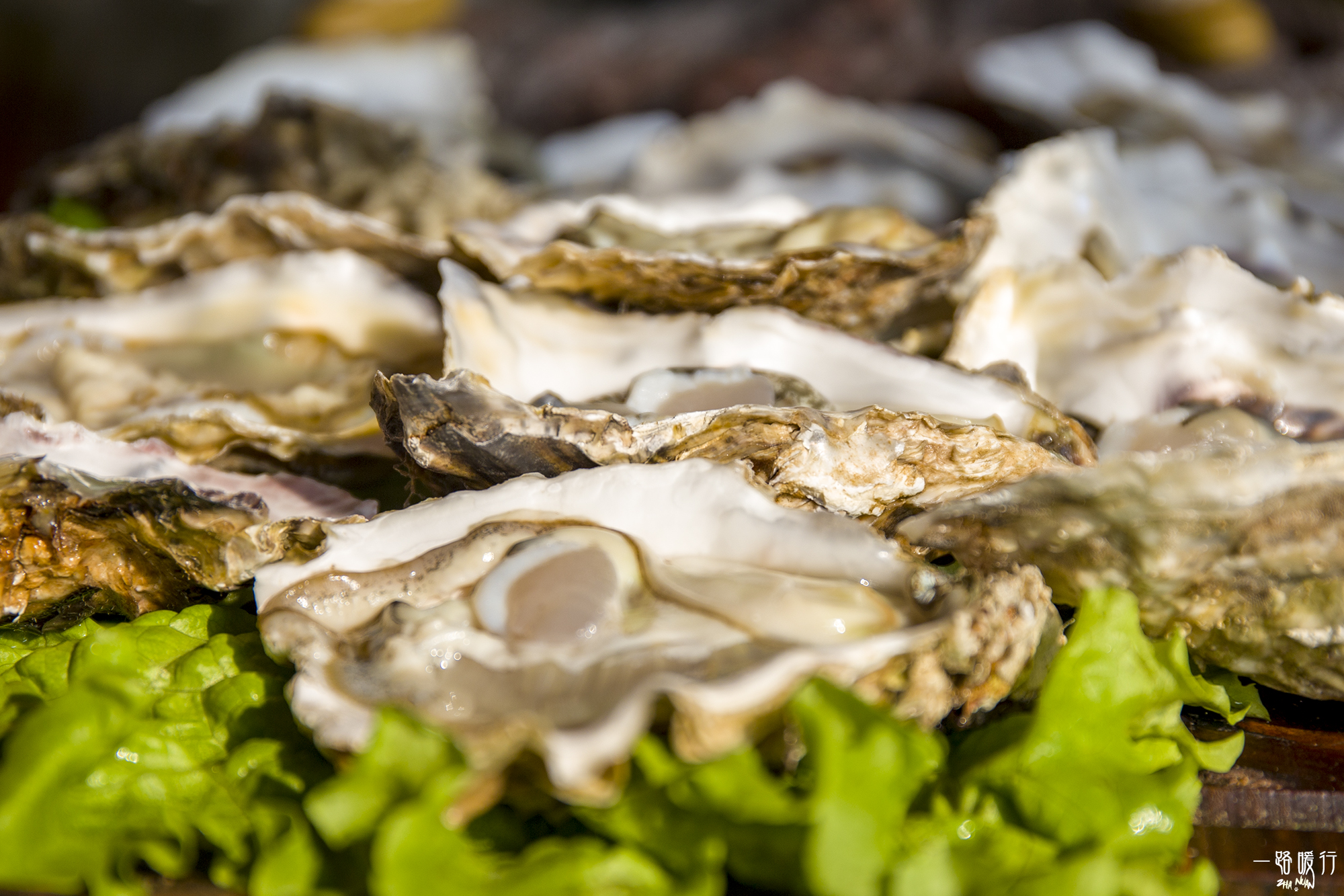 乳山为什么是长寿之乡,威海乳山市的海景房