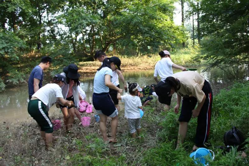 快艇摩托艇极速沙发SUP板…桐洲岛亚联飞行营地“上新”水上玩法！想体验吗？免费