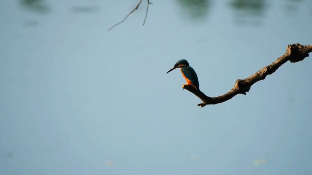 閮戝窞椋為笩瀹跺洯鍥剧墖澶у叏,閮戝窞椋為笩瀹跺洯椋庢櫙