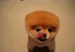 女儿国国王朱琳高清照片,女儿国国王朱琳73岁变成什么样了