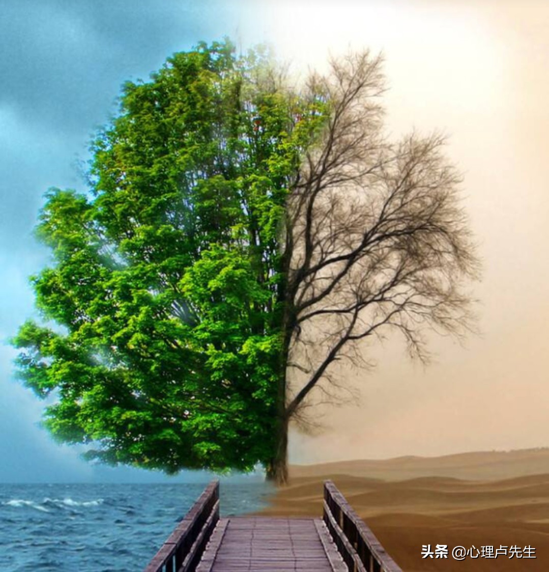 遇到背叛最好的自救方法,当遭遇爱人背叛时