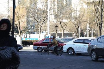 网上的一些土味视频盘点,土味视频被网爆