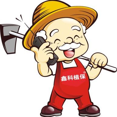 西瓜出现根腐病怎么治疗,西瓜根腐病的主要原因