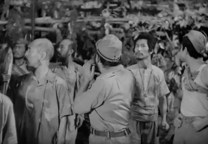 一男一女双人荒岛求生30天,一男一女荒岛求生生存30天