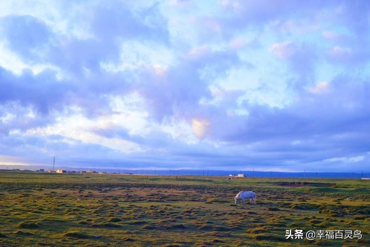 西天取经自驾游攻略,贵州出发自驾敦煌旅游攻略