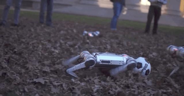 一群机械狗的球技展示，未来科技