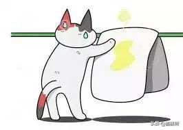 猫咪不用猫砂乱拉乱尿怎么办,猫咪尿味在家里怎么快速处理