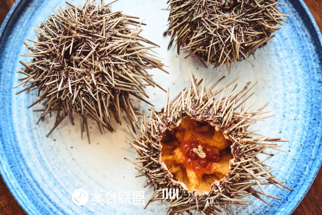 必须要有秘密口诀才能进入的居酒屋，昆明88%的人找不到入口在哪