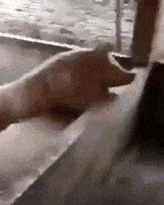 看了整整七分钟，他们最终还是上去了