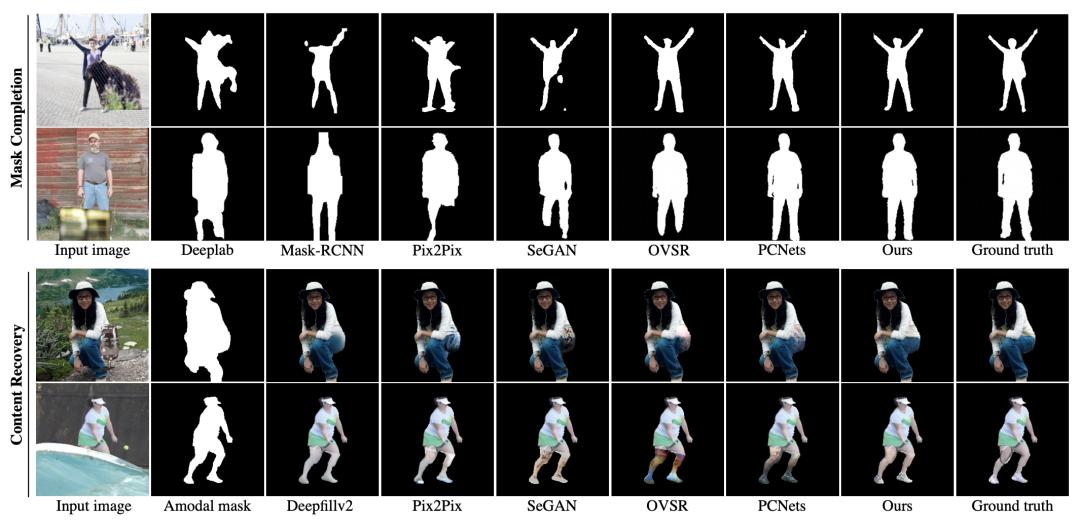 字节跳动组织深度解析,字节跳动2020csr报告