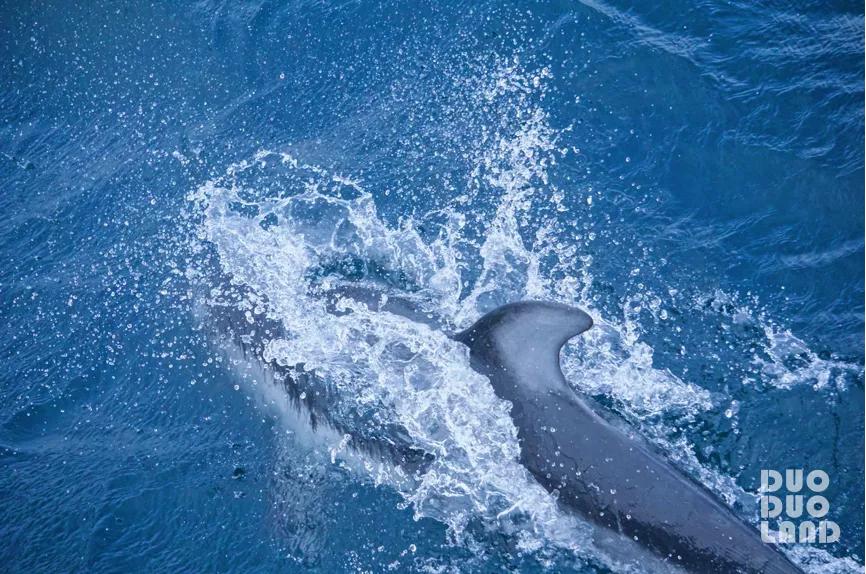 多·样|Evelyn:那些来自大自然的馈赠,原来都在旅行的日子里