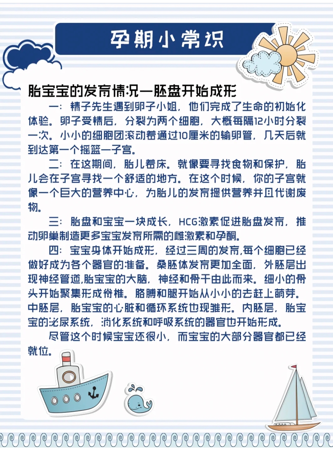 孕期小知识怀孕期间要注意的事,孕妇怀孕阶段需要注意的所有事项