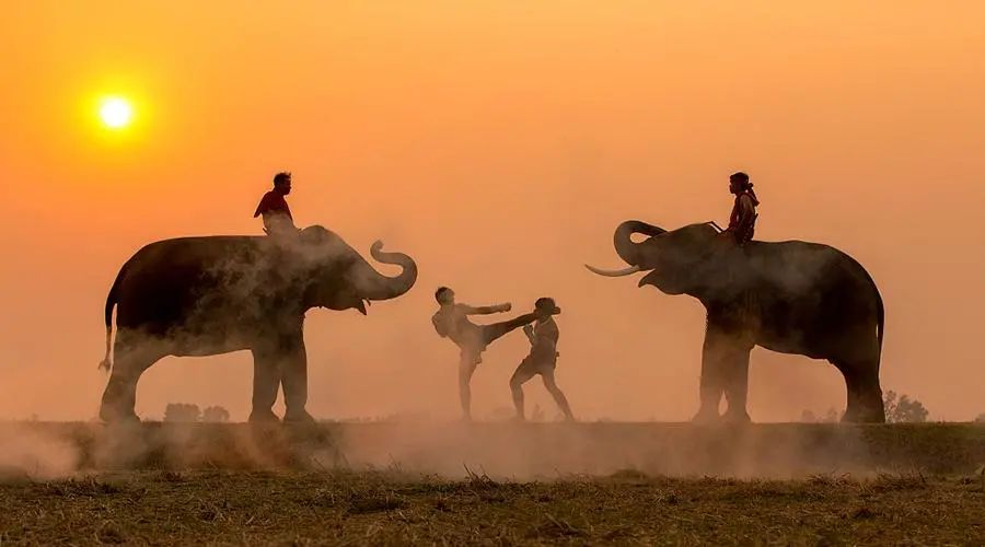 龙版传媒是做什么的,龙版传媒可以申购吗