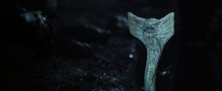 异形到底有多少种形态,异形到底存在吗