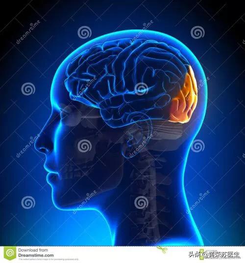走进神秘的大脑世界：不同脑区损伤的临床表现（值得收藏）