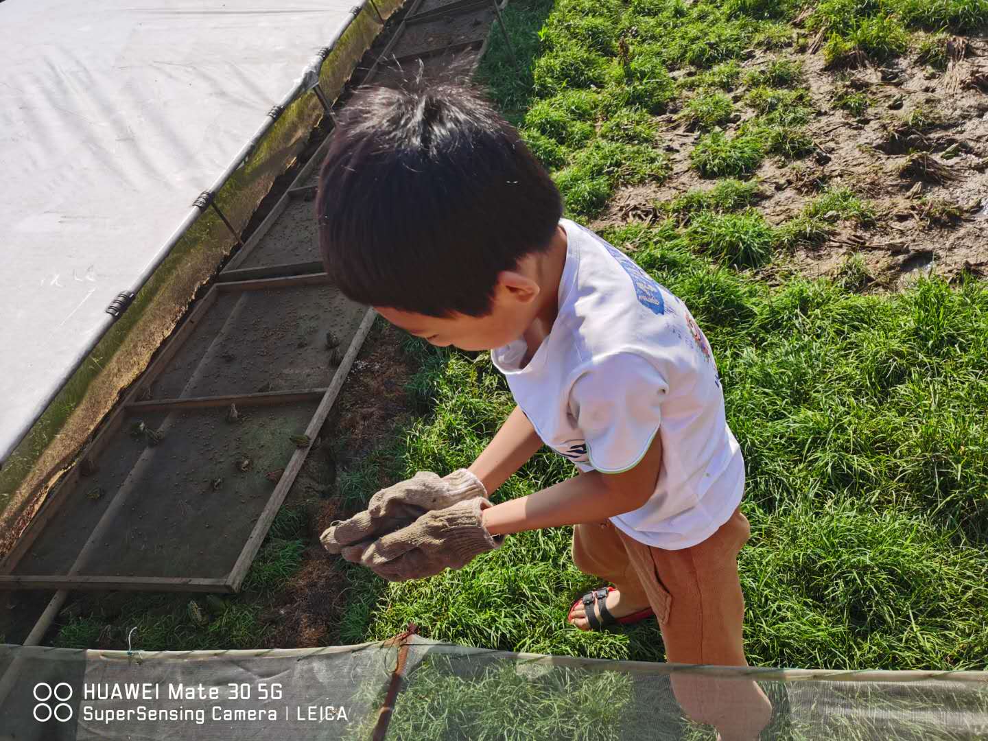 长沙周边农家乐排行榜前十名,长沙最好玩的农家乐