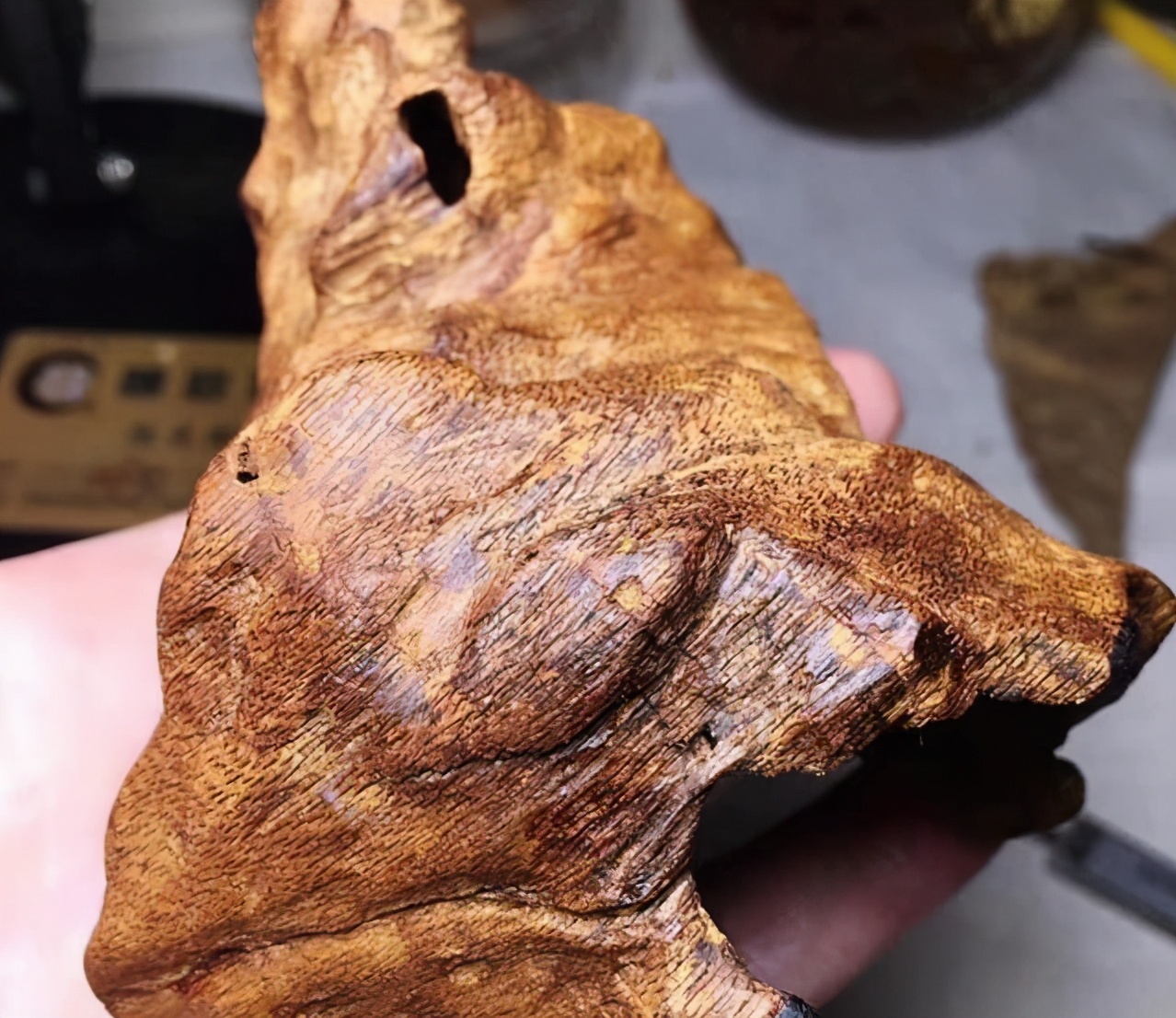 海南刘之强,刘之强沉香协会副会长