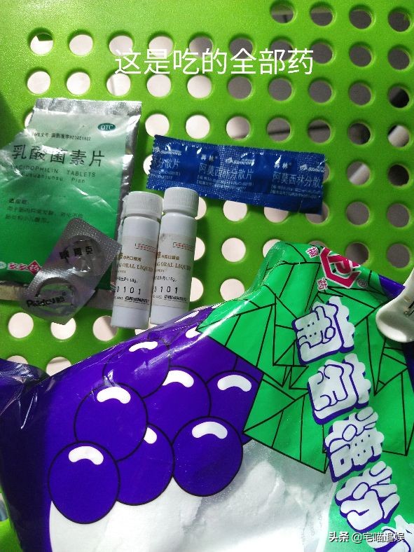 得猫瘟小猫什么都不吃,小猫得了猫瘟一直不死