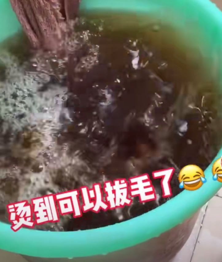 坐月子洗澡用热水器的水,月子洗澡水需要放什么