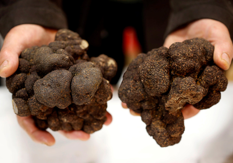 去法国旅游吃什么甜品,法国旅游带点什么东西好