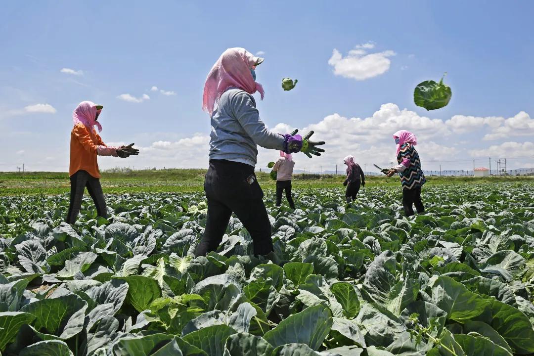 彪炳史册的脱贫攻坚,脱贫攻坚彪炳史册