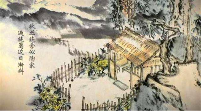 关于菊花姿态优美的诗句,描写菊花诗句经典语录