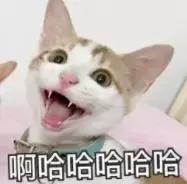 我竟然用一支口红的钱，承包了超市的半个货架？！