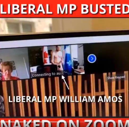 加拿大议员会议出镜,加拿大议员视频会议出镜