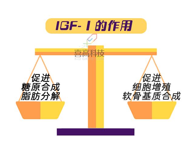 生长因子igf-1偏低要做磁共振吗,生长因子结合蛋白查什么的