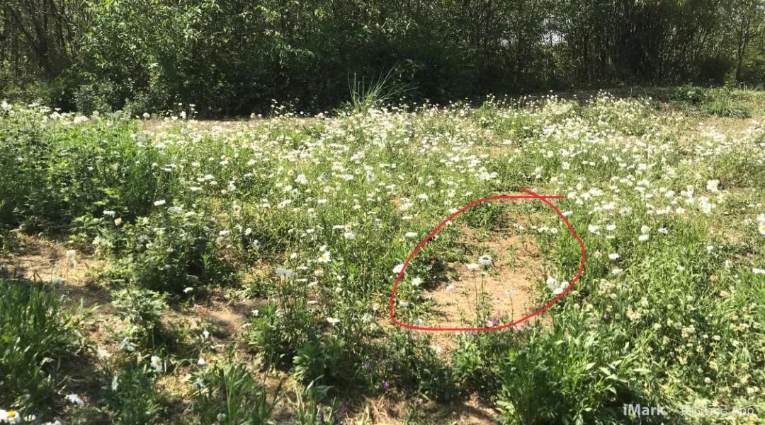 一招轻松拍出电影感的照片,一张照片教你拍出大片的感觉