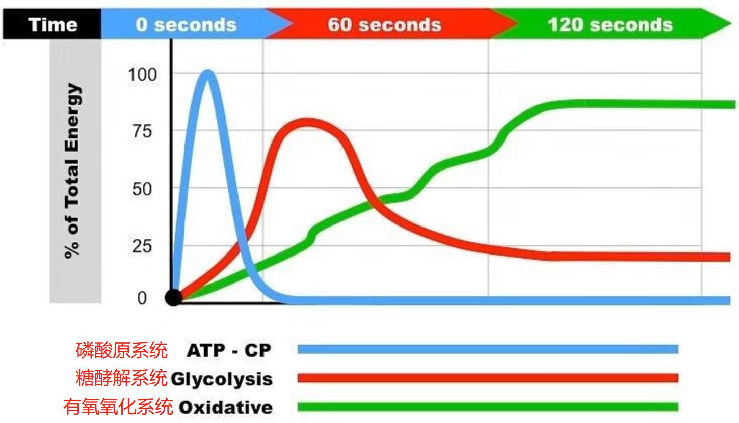 在家运动锻炼身体增强免疫力,疫情居家锻炼小动作