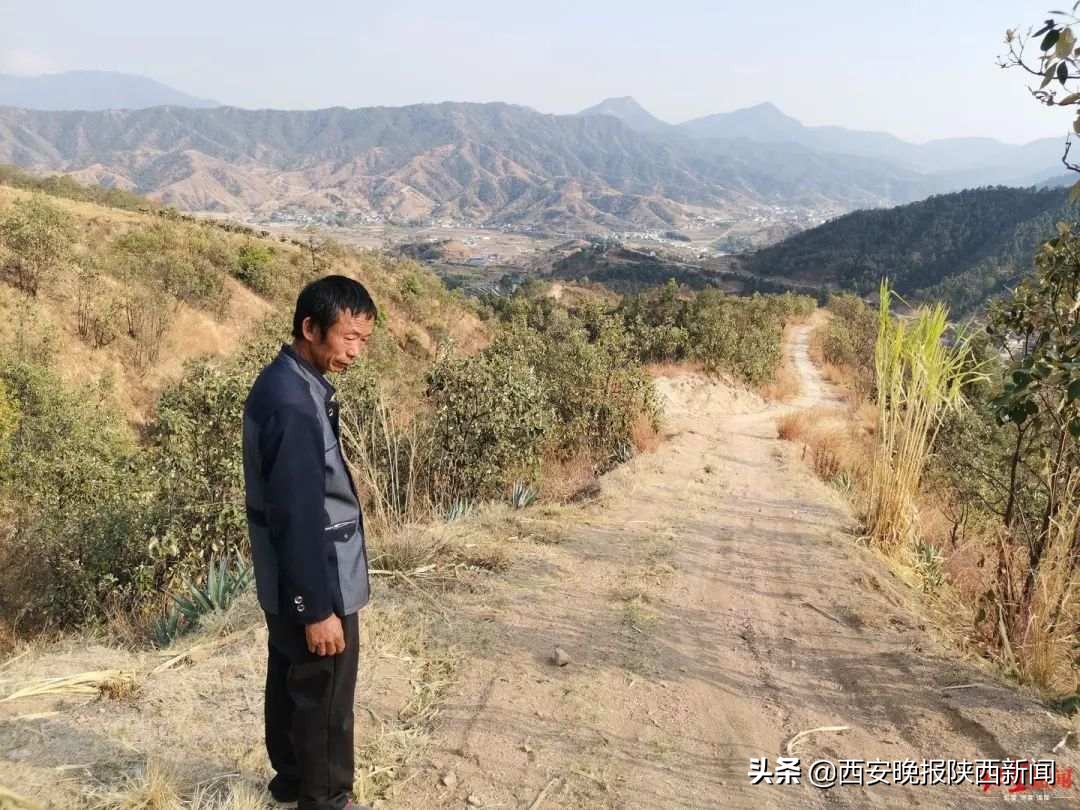 村民自费修山路被罚四万元,村民自费修山路被罚4万后续结果