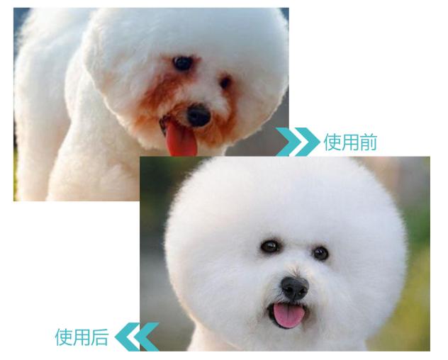 李金铭娄艺潇从校服到婚礼现场,李金铭娄艺潇综艺节目在哪看