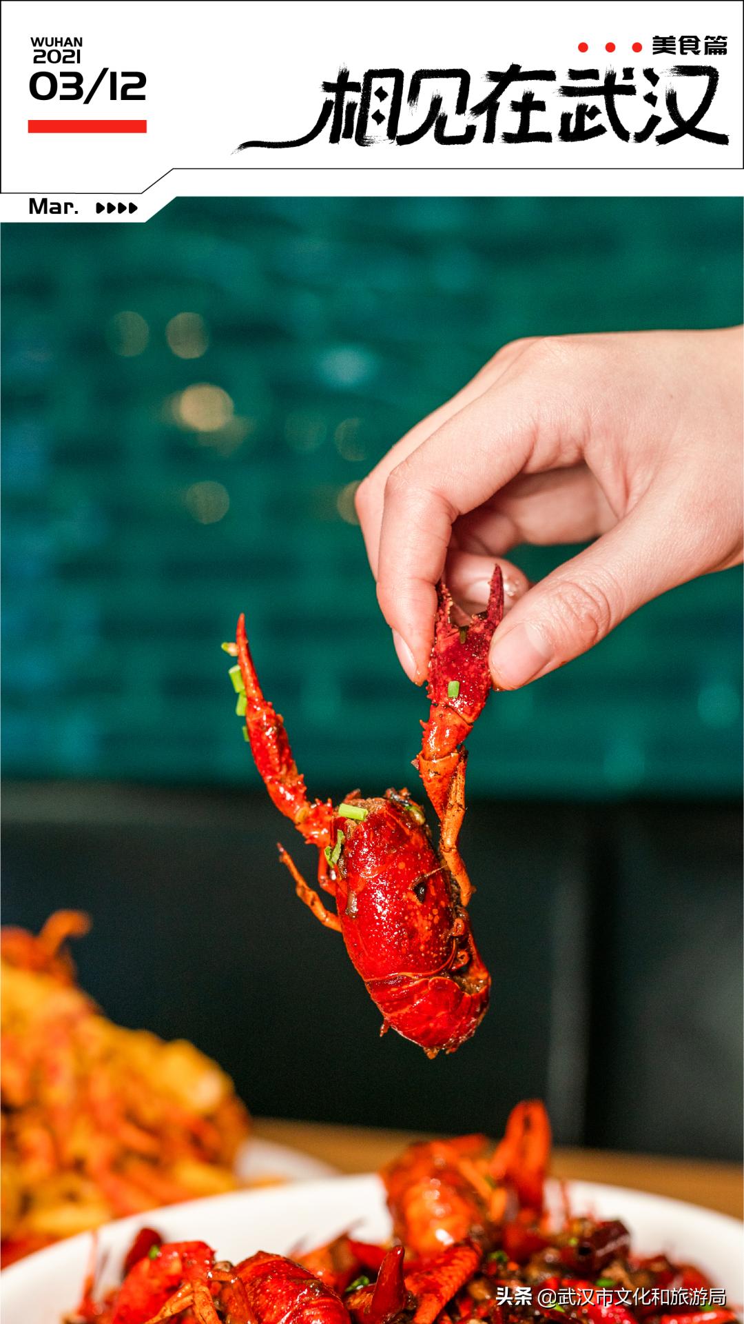 武汉樱花开完整版视频,武汉东湖樱花开的视频