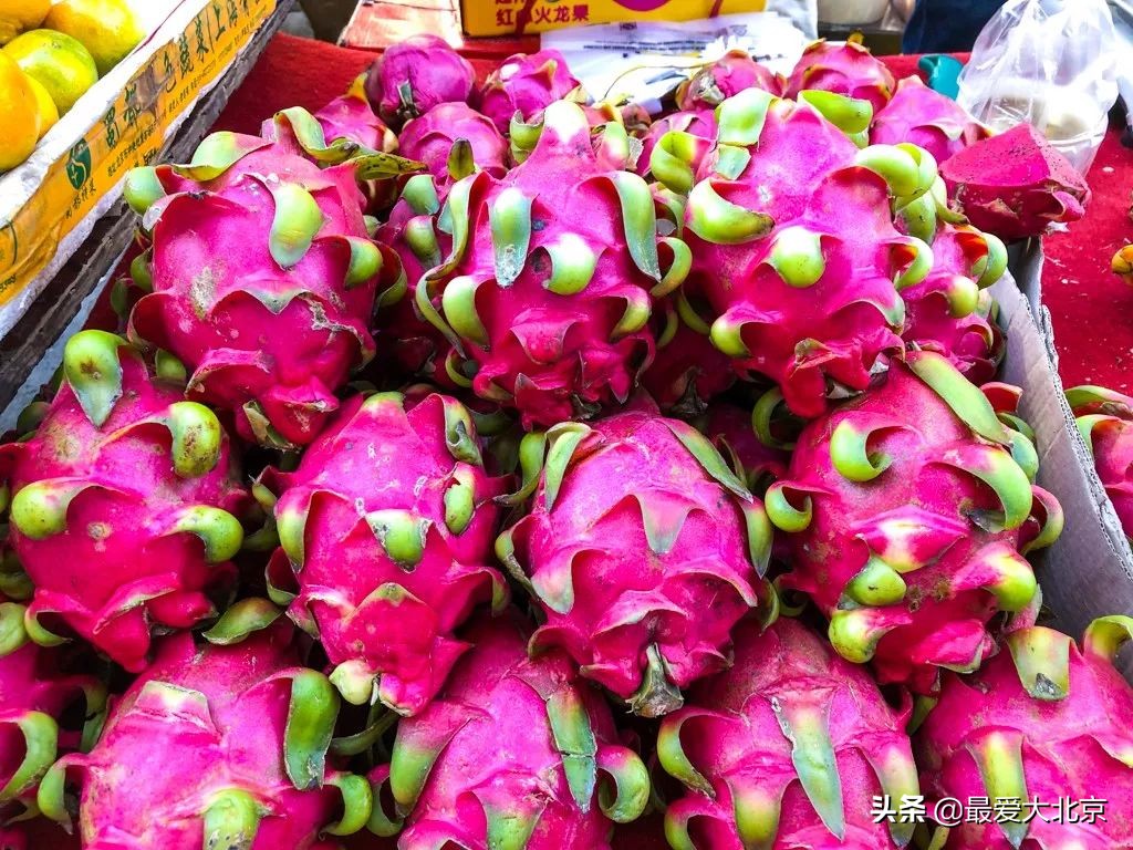 最便宜的早市品种,北方早市有哪些品种