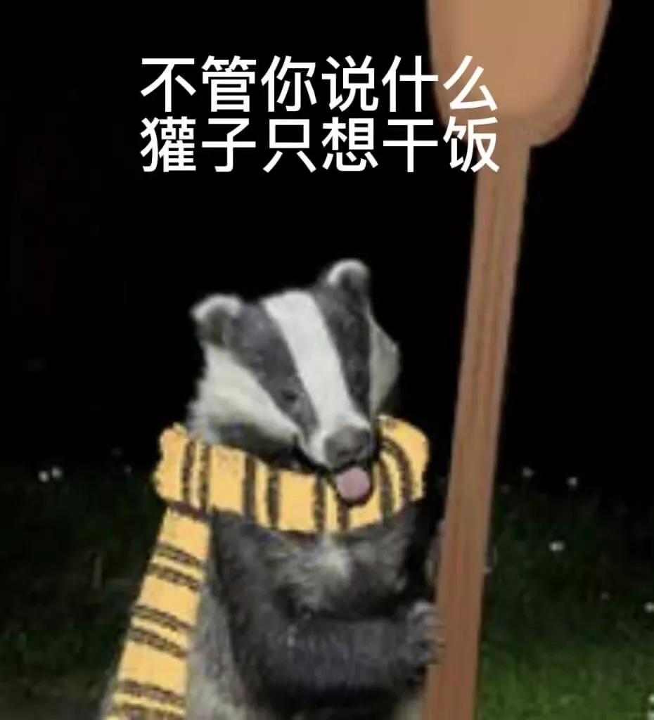 我*载下**了哈利波特的手游，结果却被里面的内卷氛围笑到满地找头..