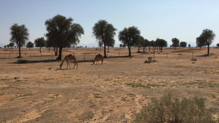 分享iphone的知识,分享iphone实用技巧苹果手机