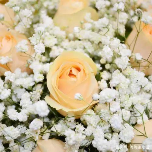 夜晚发圈有深度的句子,发圈阳光的句子