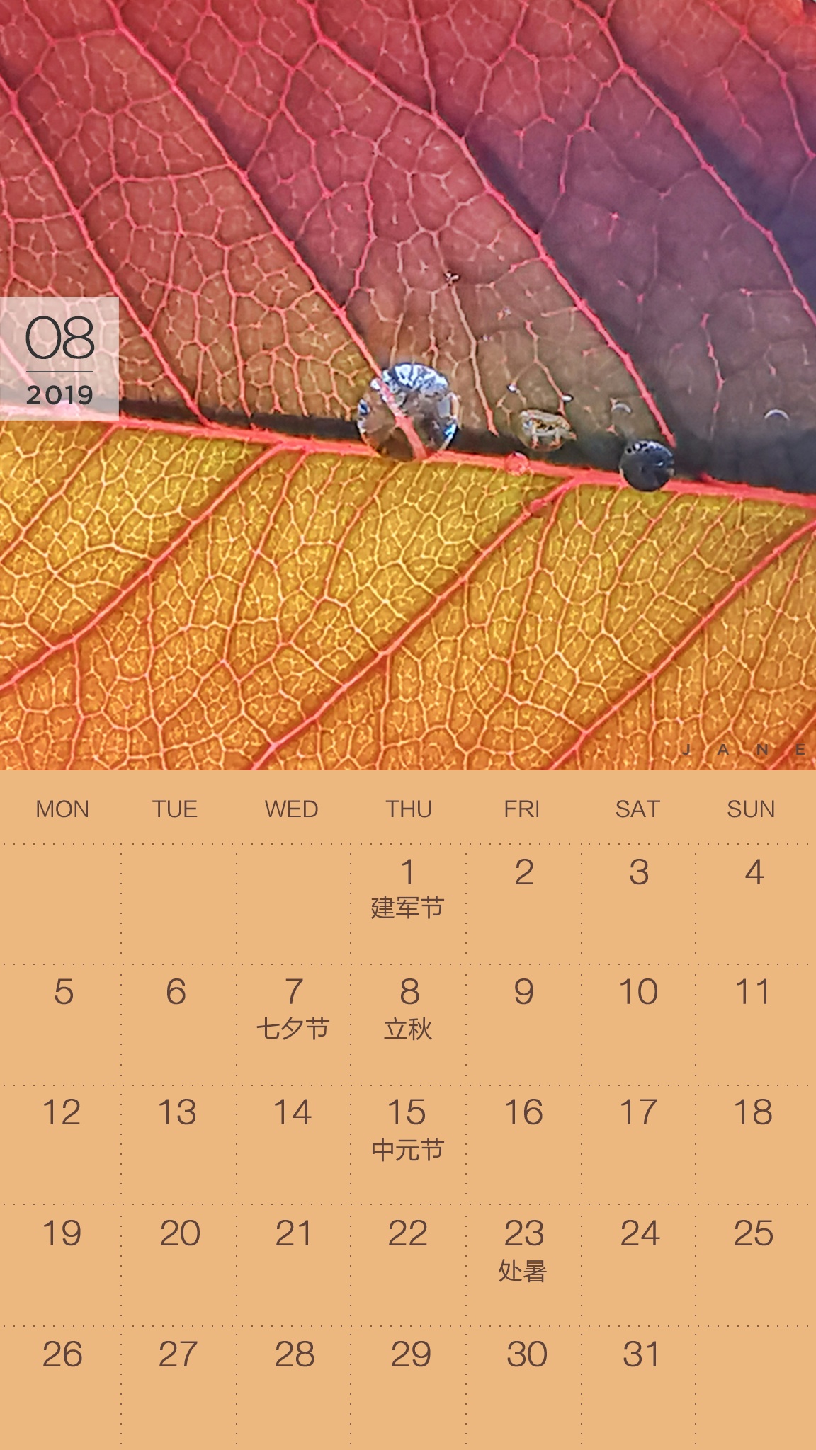 送你一张凉快动态壁纸,大暑送你清凉壁纸