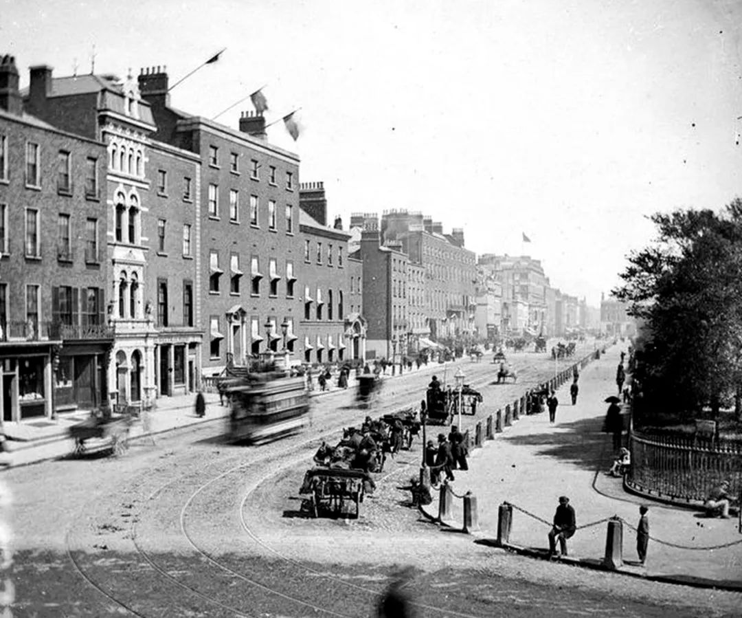 爱尔兰饥荒死亡原因,爱尔兰饥荒死亡多少