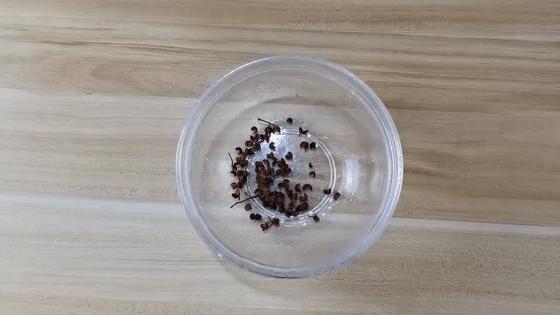 在床底放一把花椒,在床底放一把花椒真是厉害了