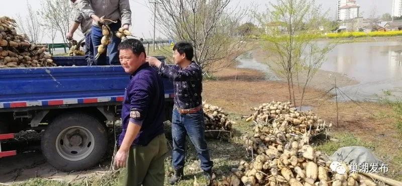 变废为宝公共区域,变废为宝再利用