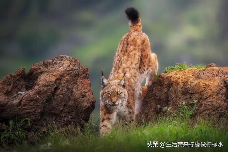 最震撼的34张照片美遍朋友圈,500张最美照片