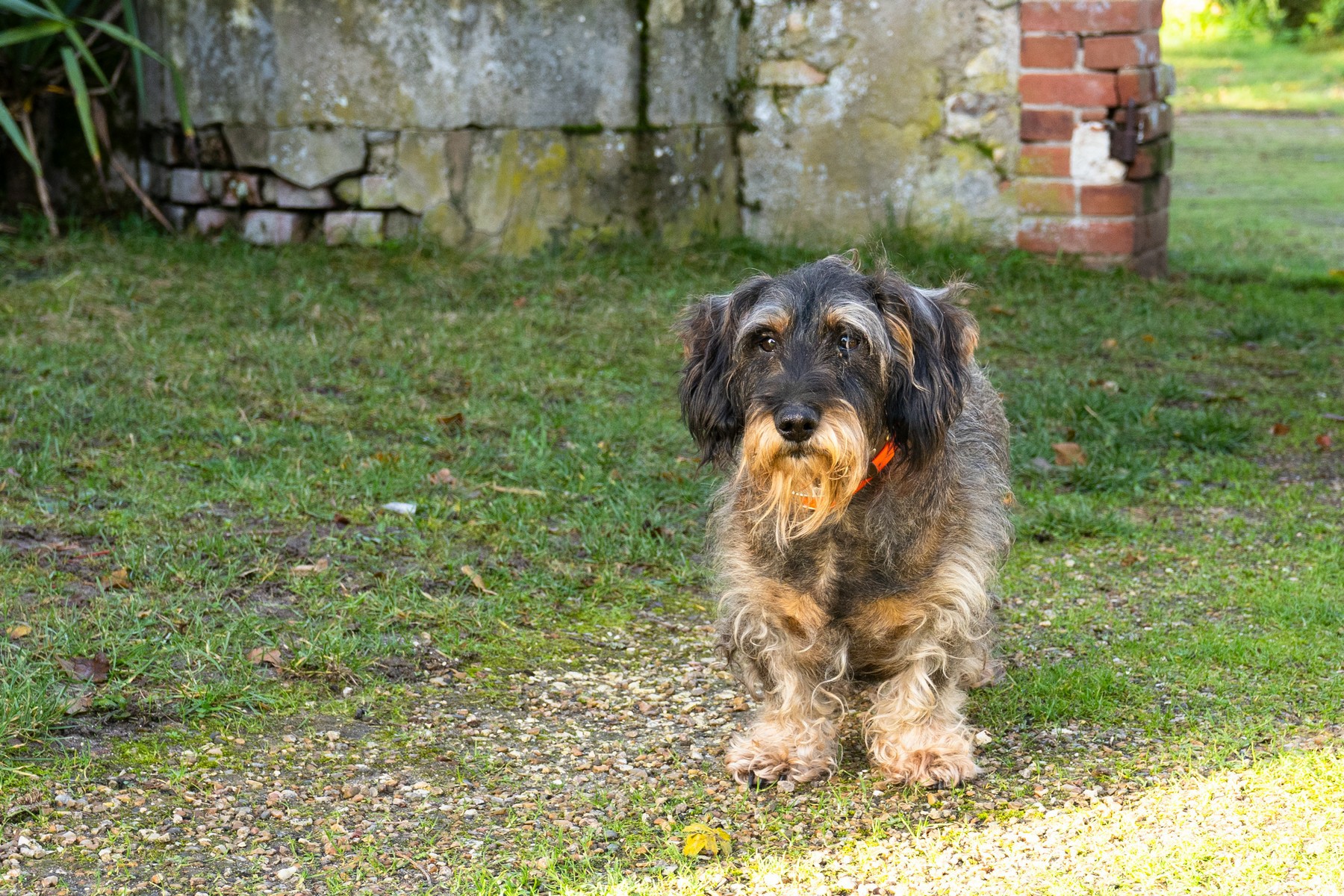 索尼A7CII全画幅微单,索尼微单a7c深度评测