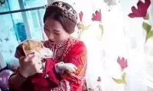 因舍不得主人出嫁，它选择这样做，“不管你去哪，带上我一起！”